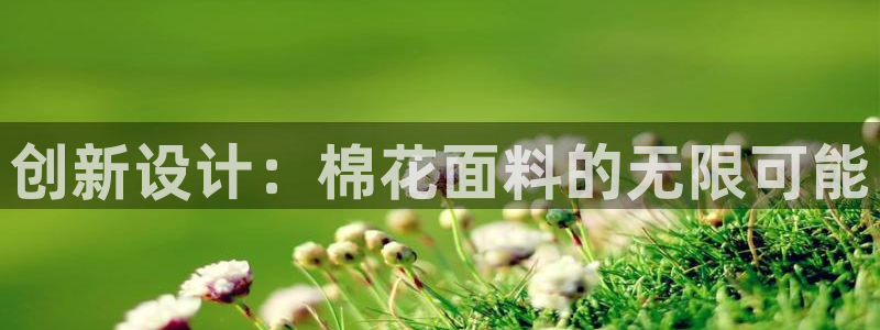 意昂体育3平台假的吗是真的吗