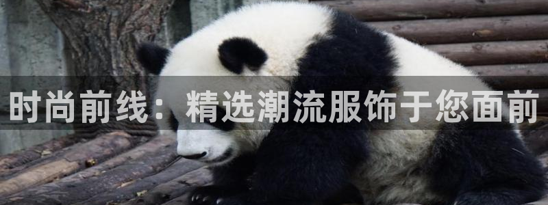 意昂体育3平台假的吗是真的吗