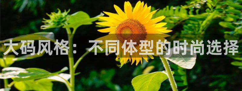 意昂体育3招商电话是多少