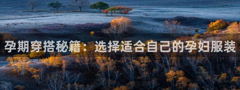 意昂体育3招商电话是多少号码