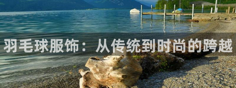意昂平台体育