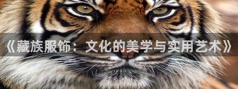 意昂体育3平台假的吗是真的吗吗