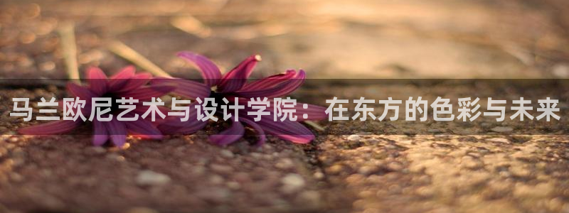 意昂3娱乐首页网站大全