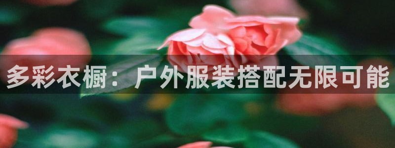 意昂体育3软件