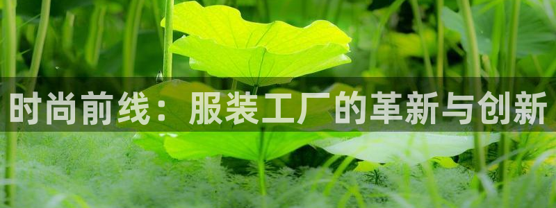 意昂3官方