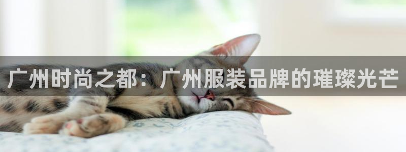 意昂平台体育