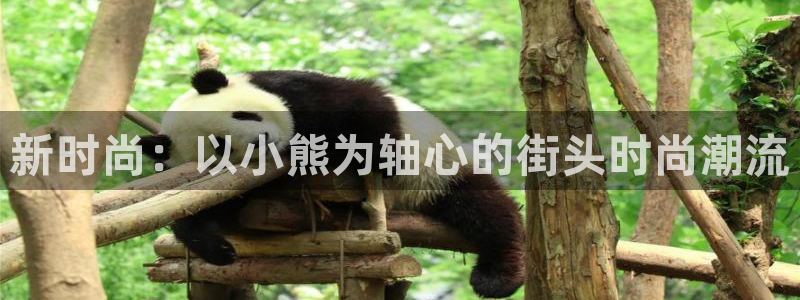 意昂体育3招商电话号码
